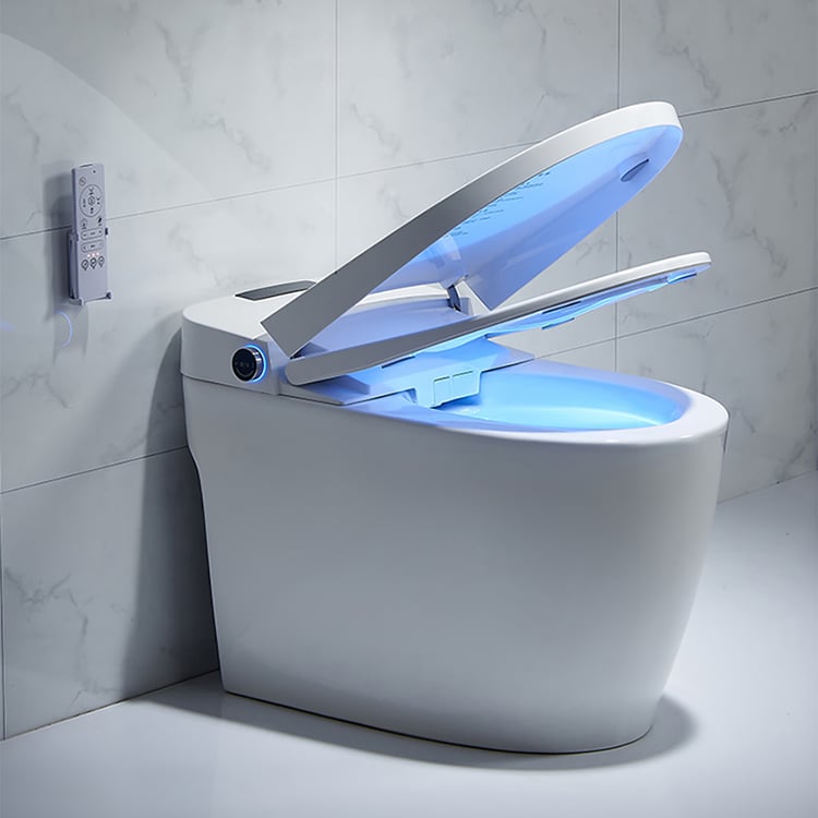 A self-cleaning toilet